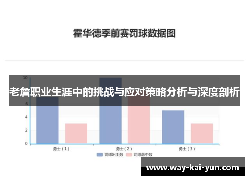 老詹职业生涯中的挑战与应对策略分析与深度剖析